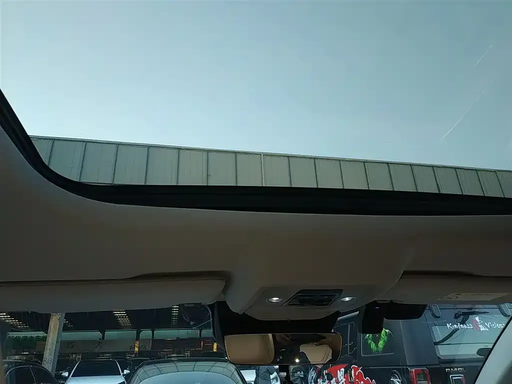 BYD Pro New Energy 2025 из CN, фото 8