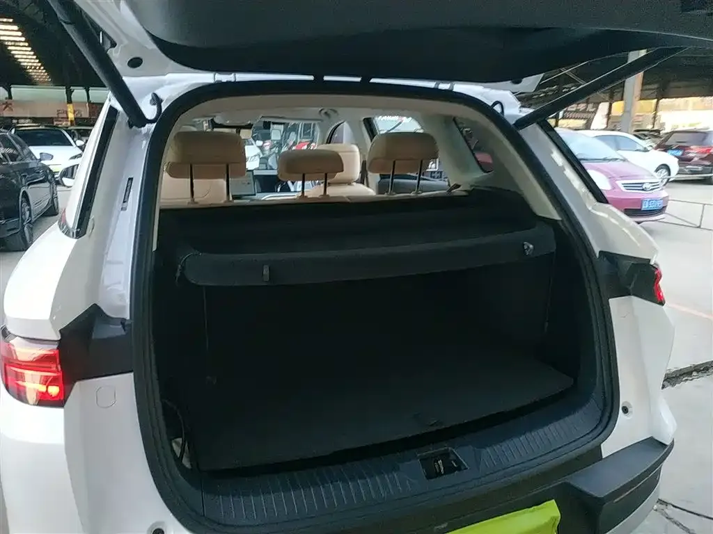 BYD Pro New Energy 2025 из CN, фото 9