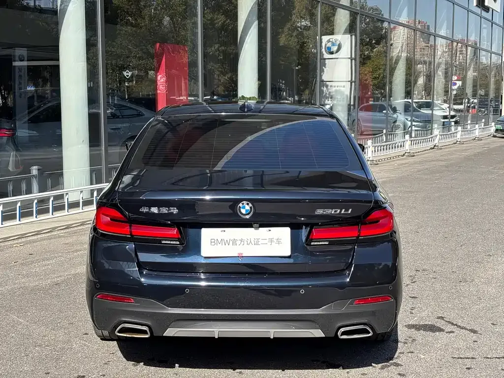 BMW 5 Series 2023 из CN, фото 8