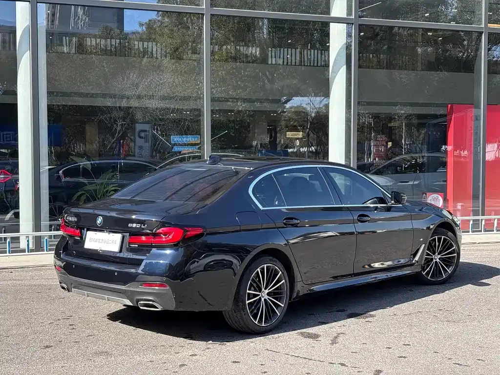 BMW 5 Series 2023 из CN, фото 6