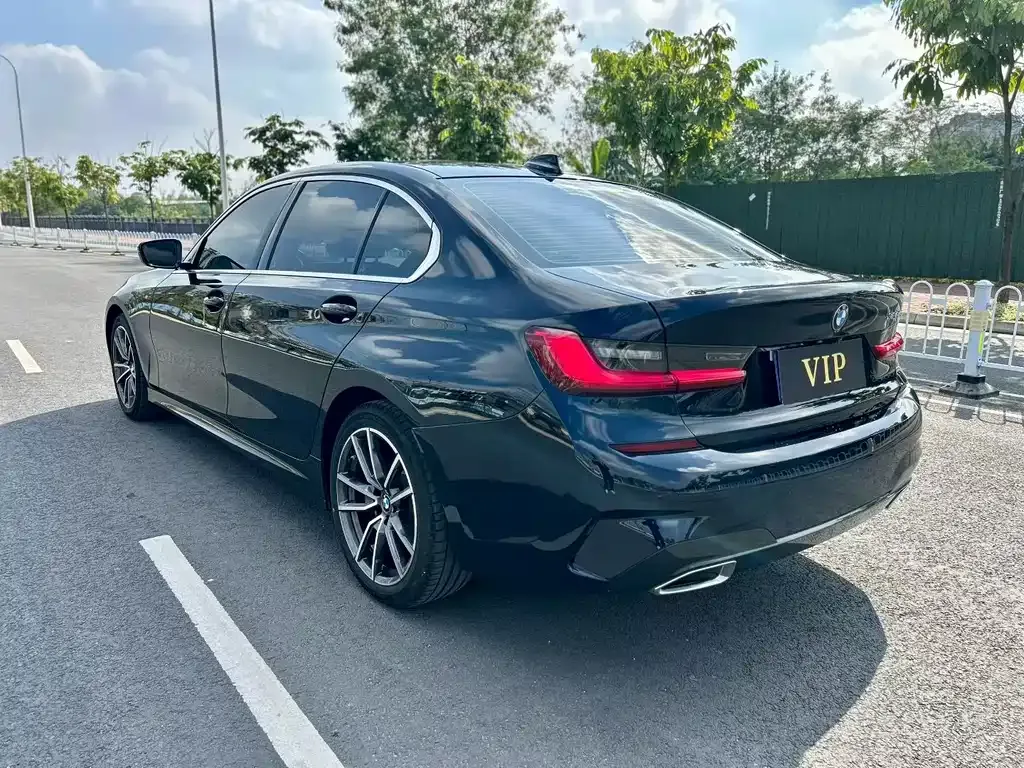 BMW 3 Series 2021 из CN, фото 8