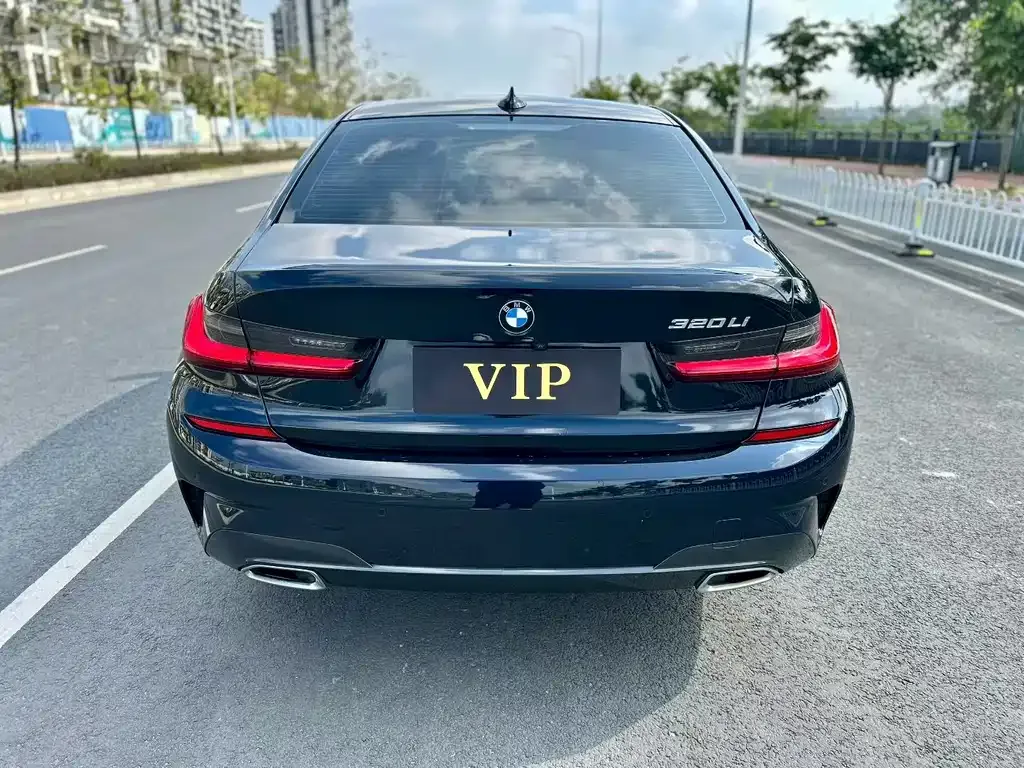 BMW 3 Series 2021 из CN, фото 7