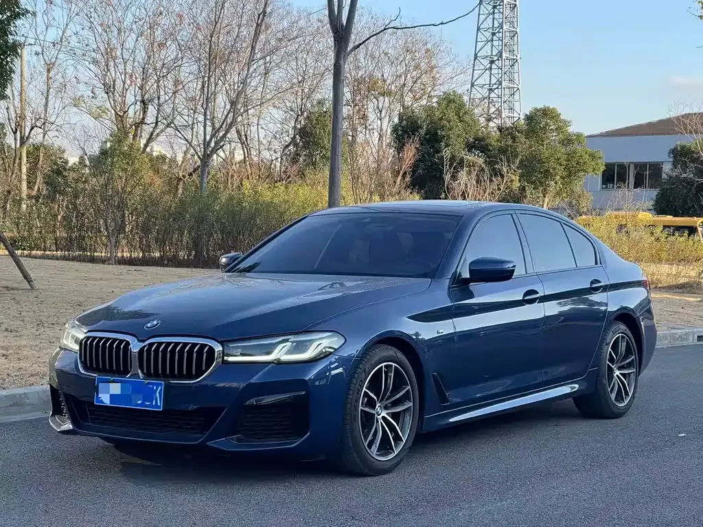 BMW 5 Series (Import) 2021 из CN, фото 1