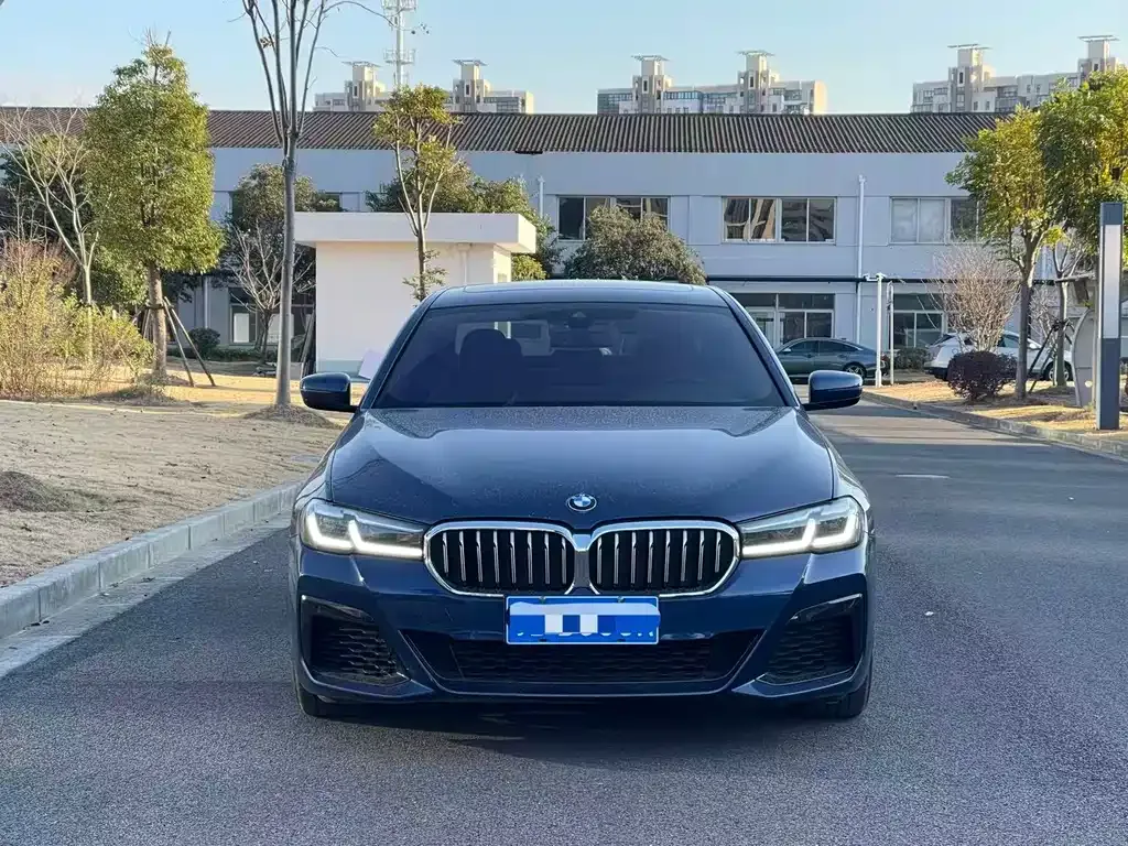 BMW 5 Series (Import) 2021 из CN, фото 8