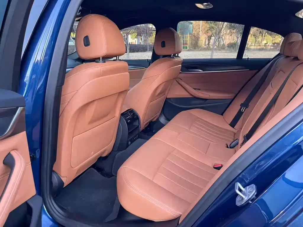 BMW 5 Series (Import) 2021 из CN, фото 7