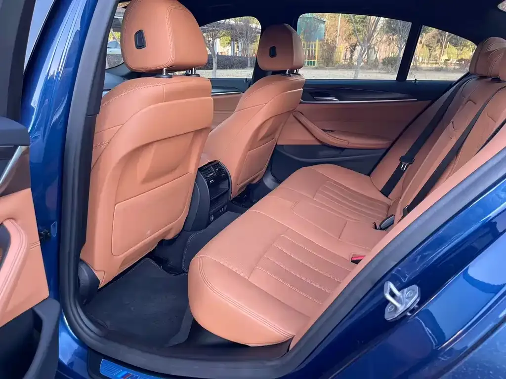 BMW 5 Series (Import) 2021 из CN, фото 2