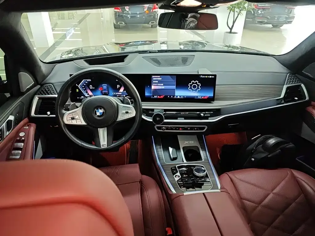 BMW X5 2024 из CN, фото 5