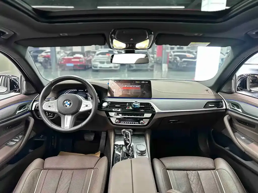 BMW 5 Series 2023 из CN, фото 9