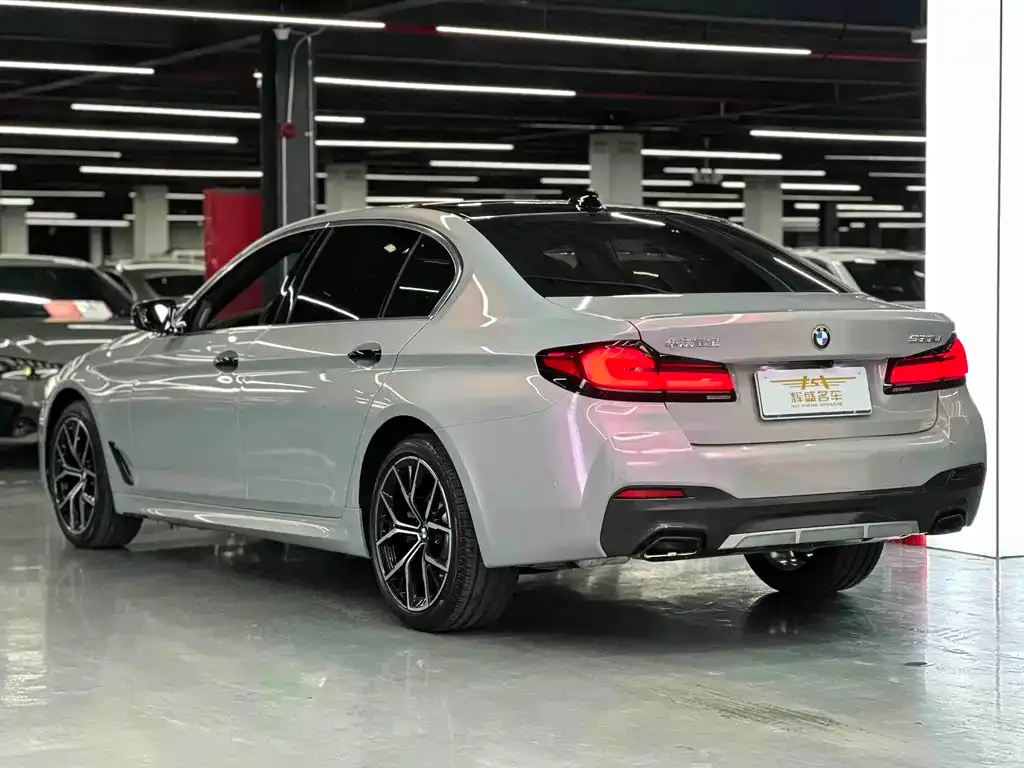 BMW 5 Series 2023 из CN, фото 8