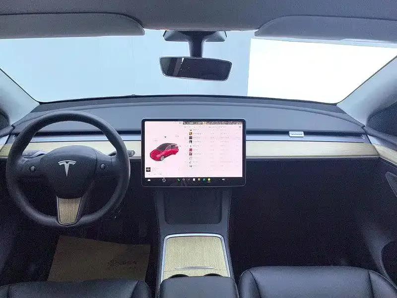 Tesla Model Y — фото 10