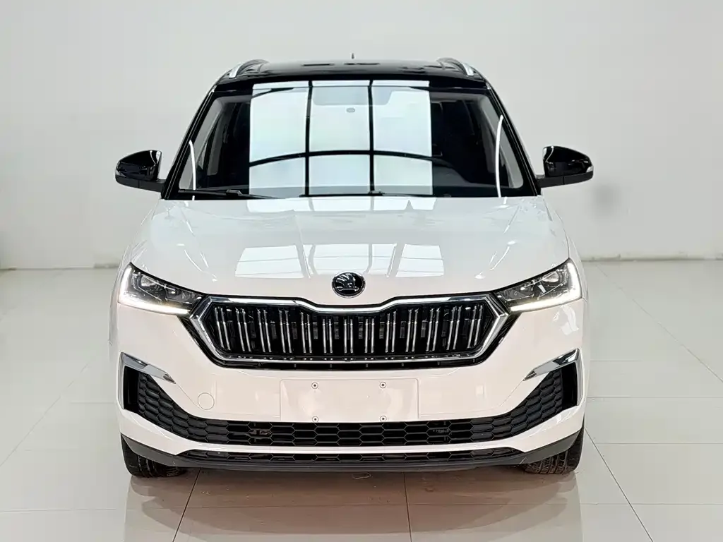 Skoda Kamiq — фото 4