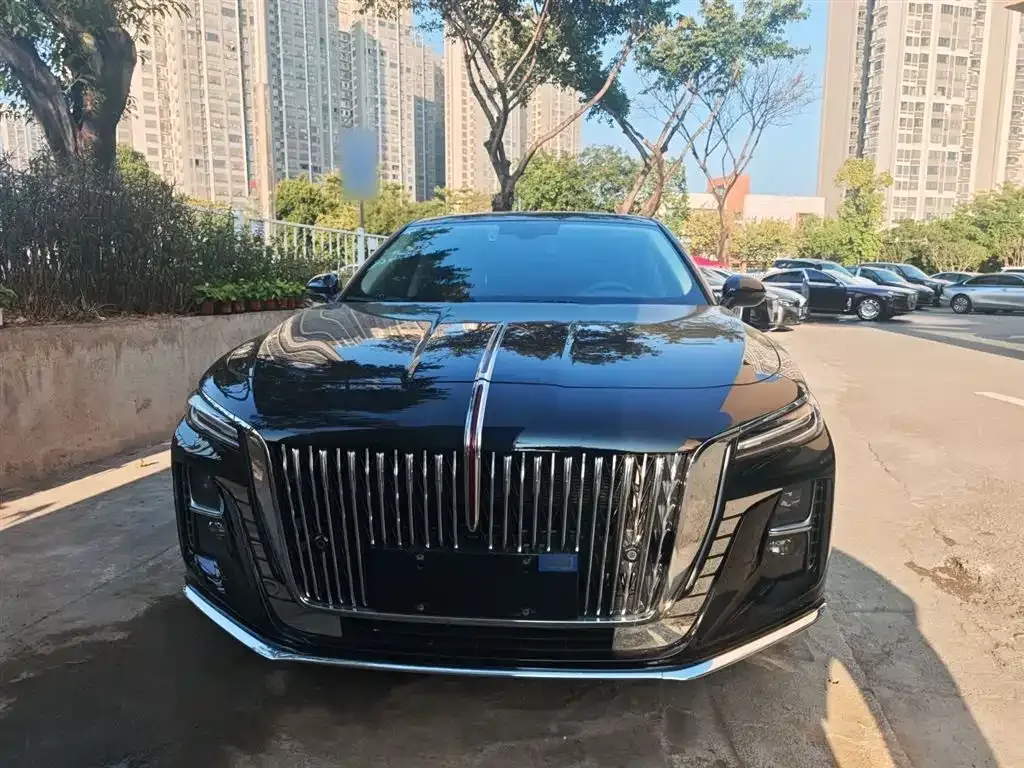 Hongqi H5 2023 из CN, фото 6
