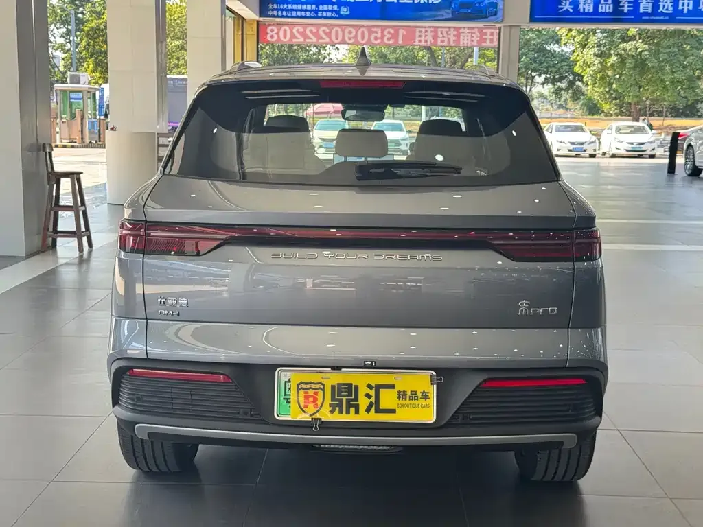 BYD Pro New Energy — фото 6