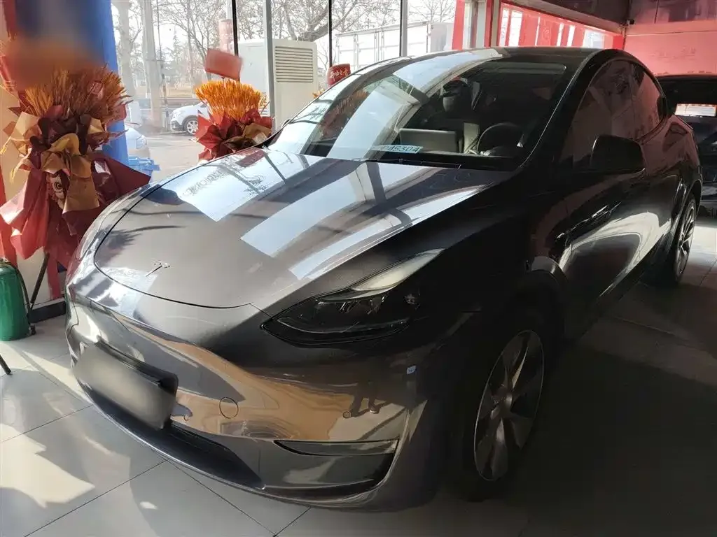 Tesla Model Y 2021 из CN, фото 1