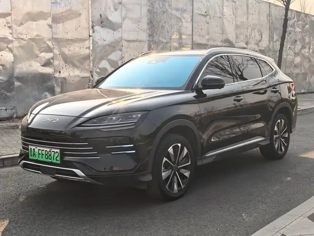 BYD PLUS New Energy 2025 из CN, фото 1