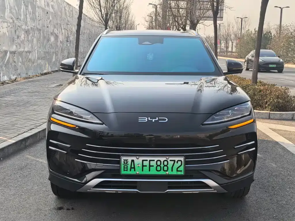 BYD PLUS New Energy 2025 из CN, фото 2
