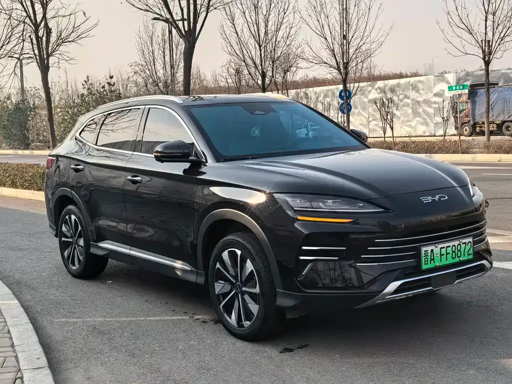 BYD PLUS New Energy 2025 из CN, фото 3