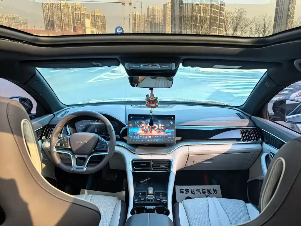 BYD PLUS New Energy 2025 из CN, фото 5