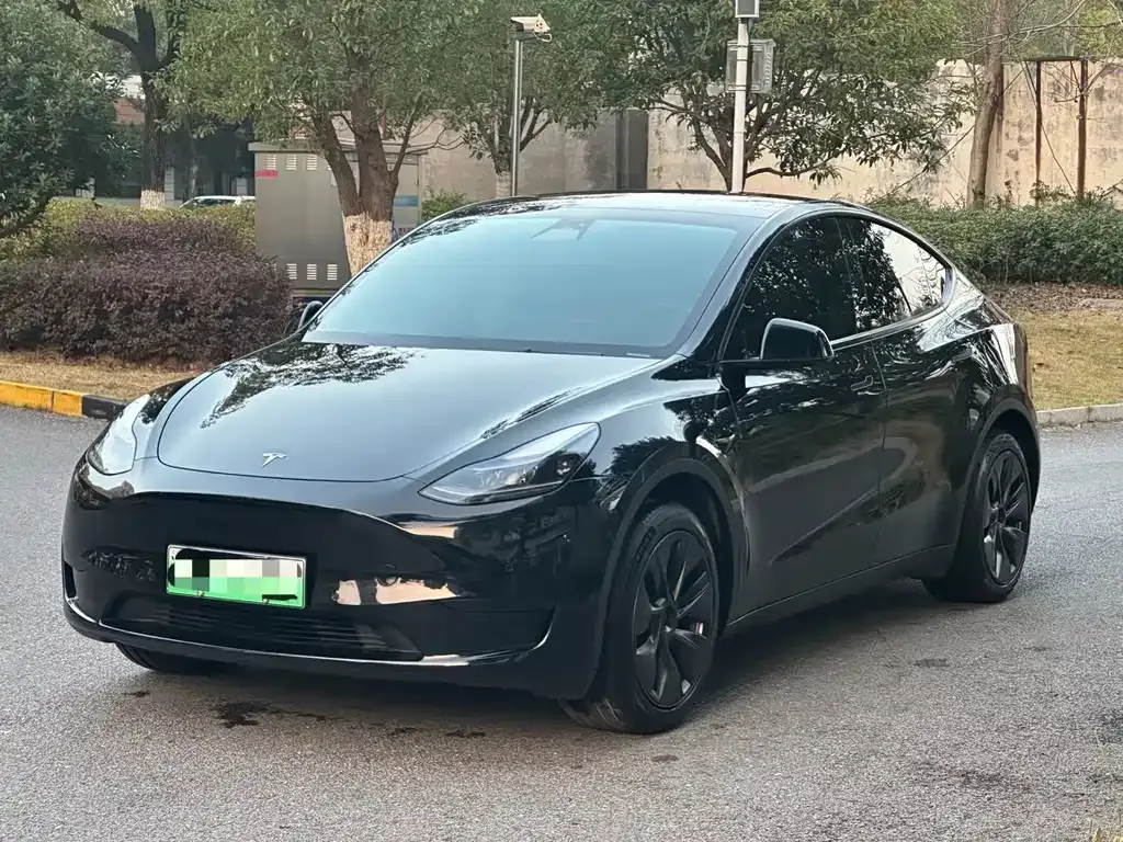 Tesla Model Y 2024 из CN, фото 1