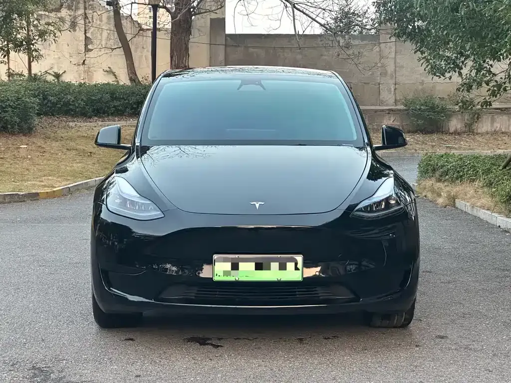 Tesla Model Y 2024 из CN, фото 6