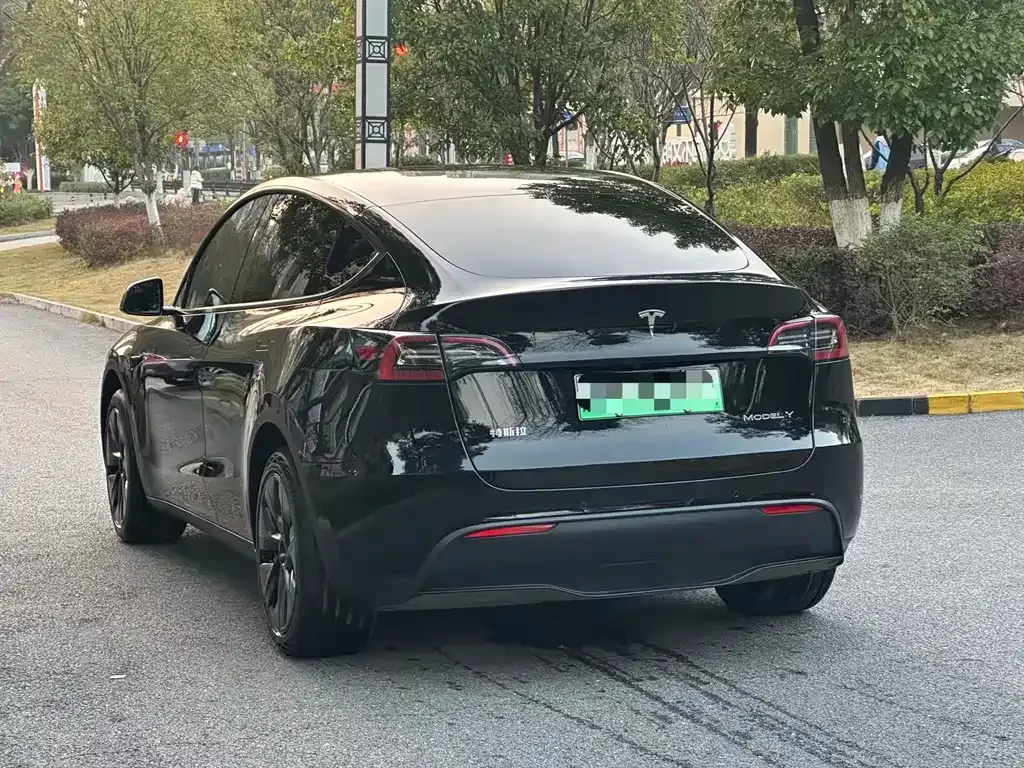 Tesla Model Y 2024 из CN, фото 9