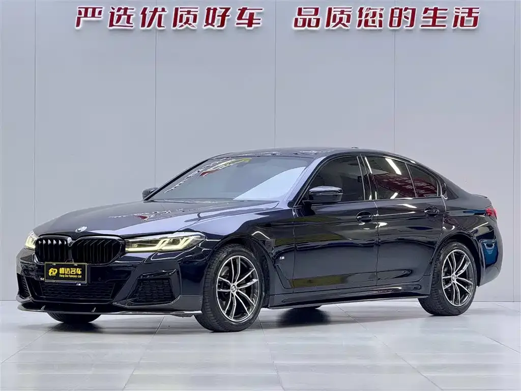 BMW 5 Series (Import) 2021 из CN, фото 1