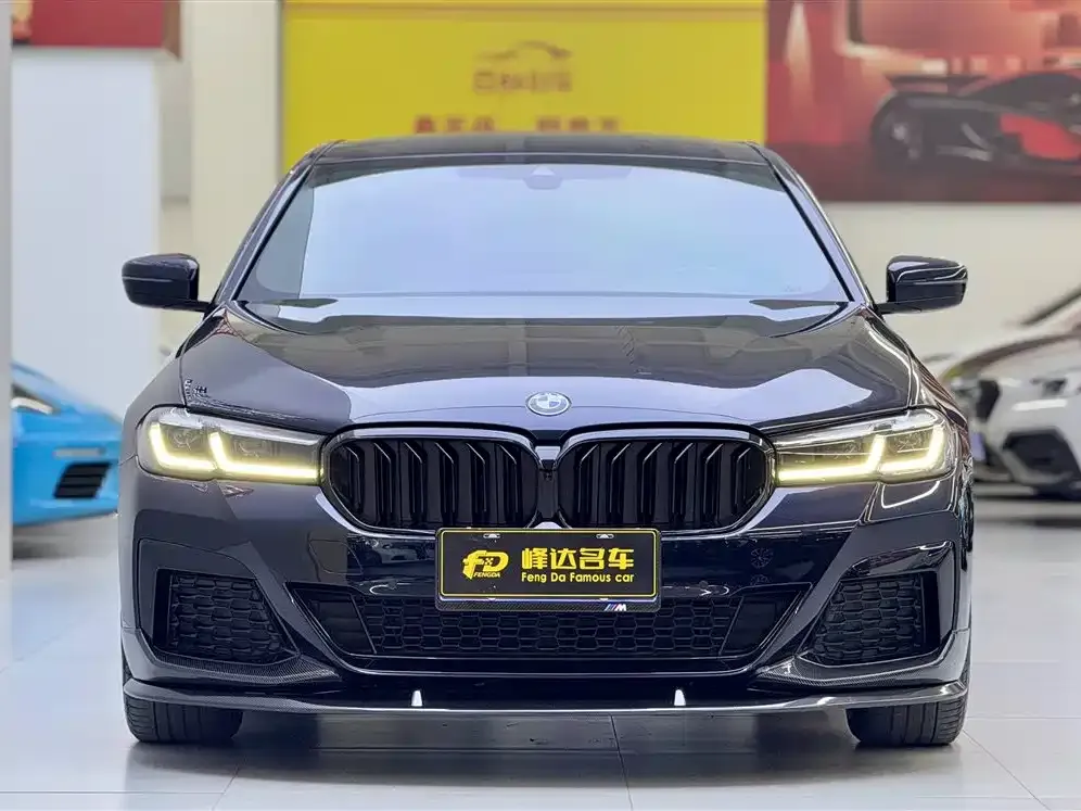 BMW 5 Series (Import) 2021 из CN, фото 6