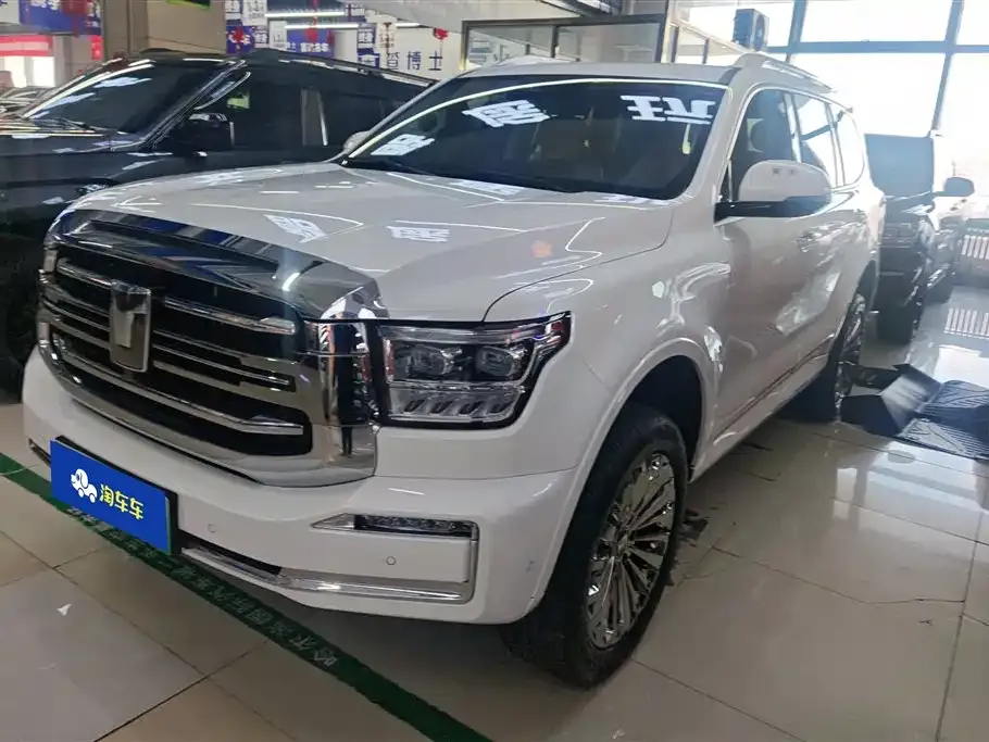 Tank 500 New Energy 2024 из CN, фото 1