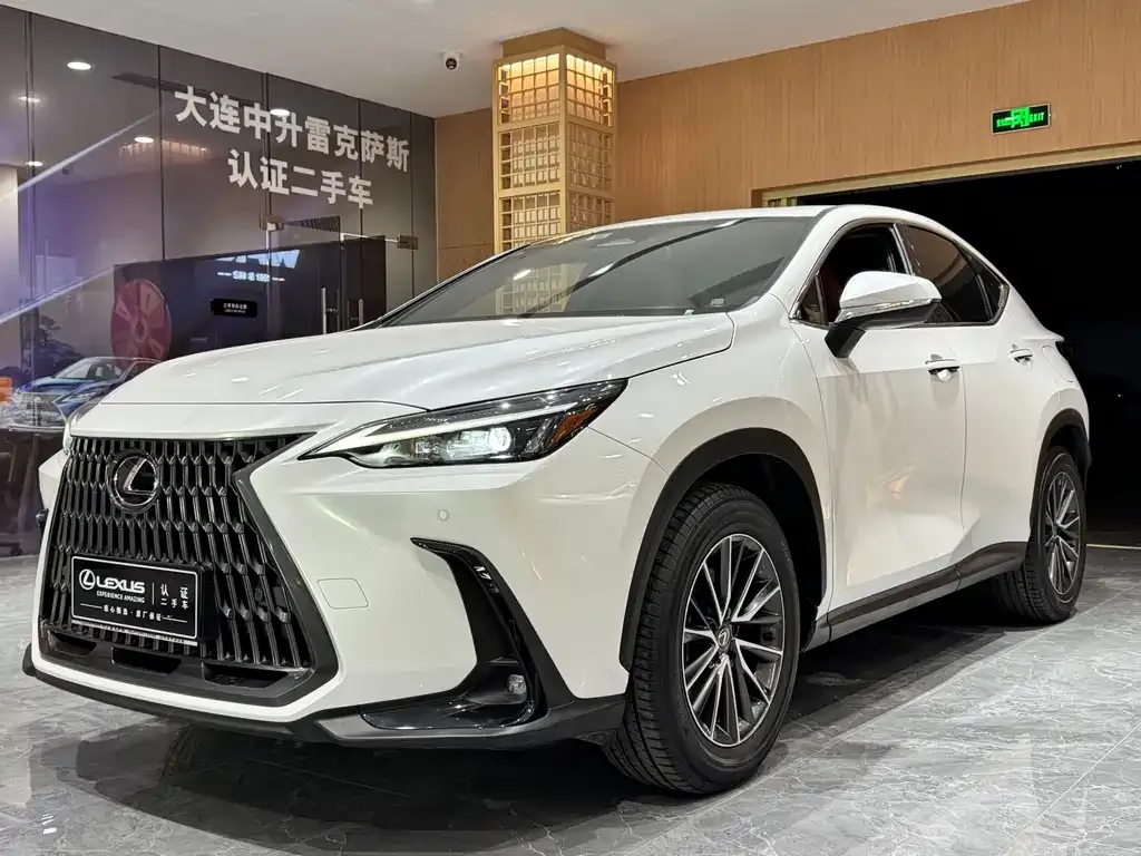 Lexus NX 2023 из CN, фото 1
