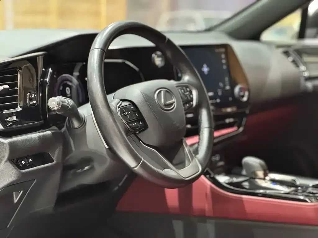 Lexus NX 2023 из CN, фото 9
