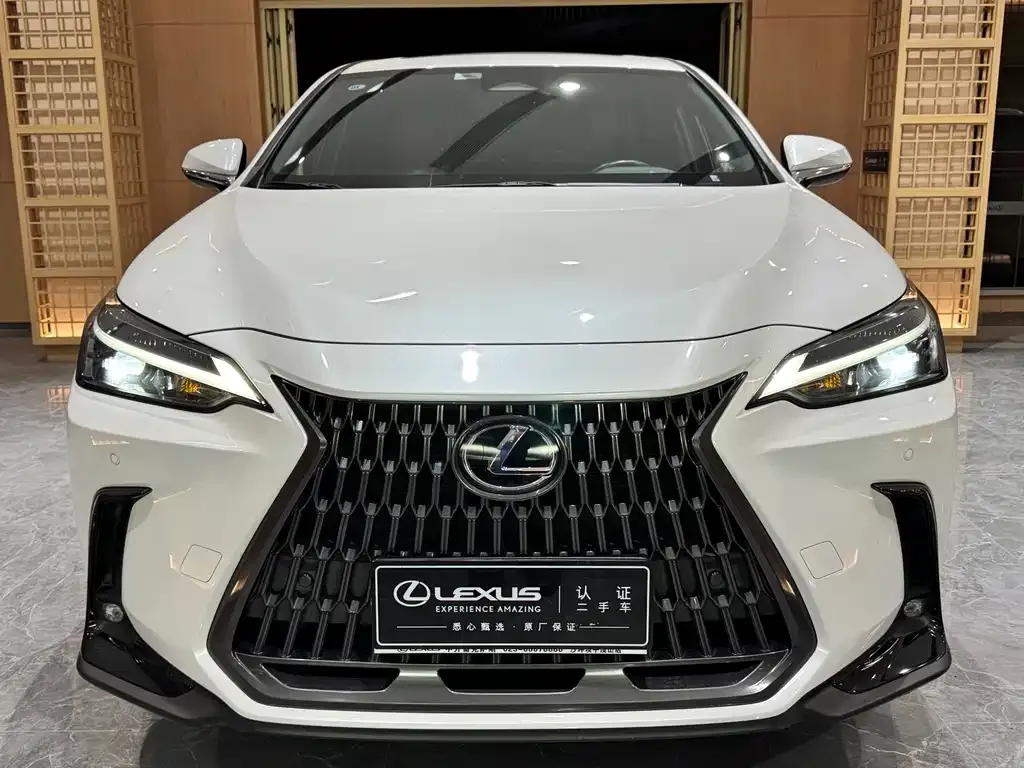 Lexus NX 2023 из CN, фото 6