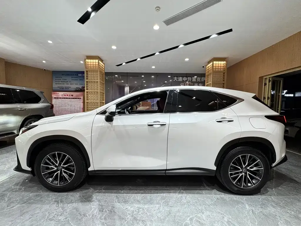 Lexus NX 2023 из CN, фото 4