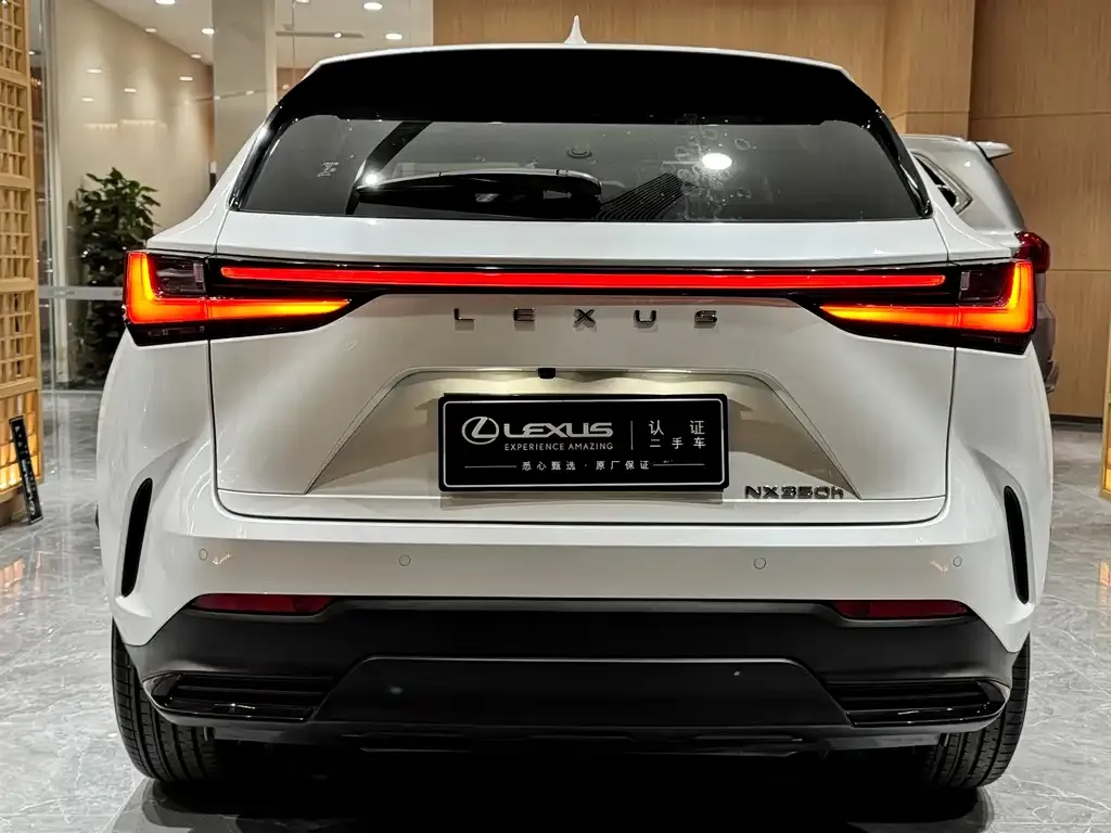 Lexus NX 2023 из CN, фото 8