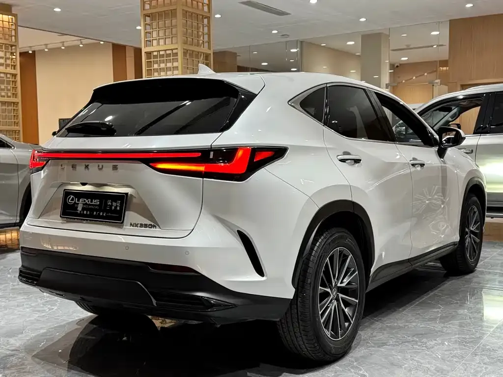 Lexus NX 2023 из CN, фото 10