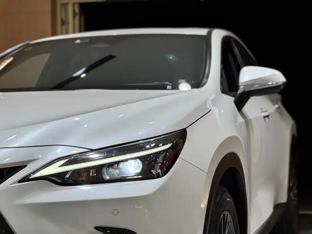 Lexus NX 2023 из CN, фото 2