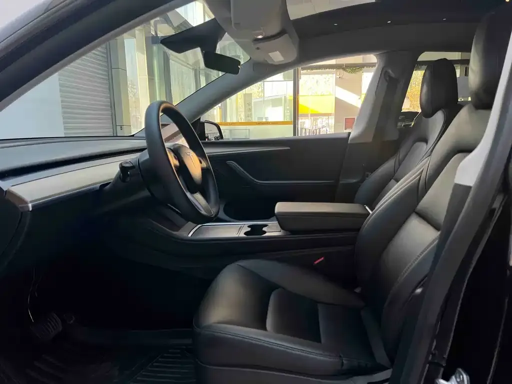 Tesla Model Y 2021 из CN, фото 10