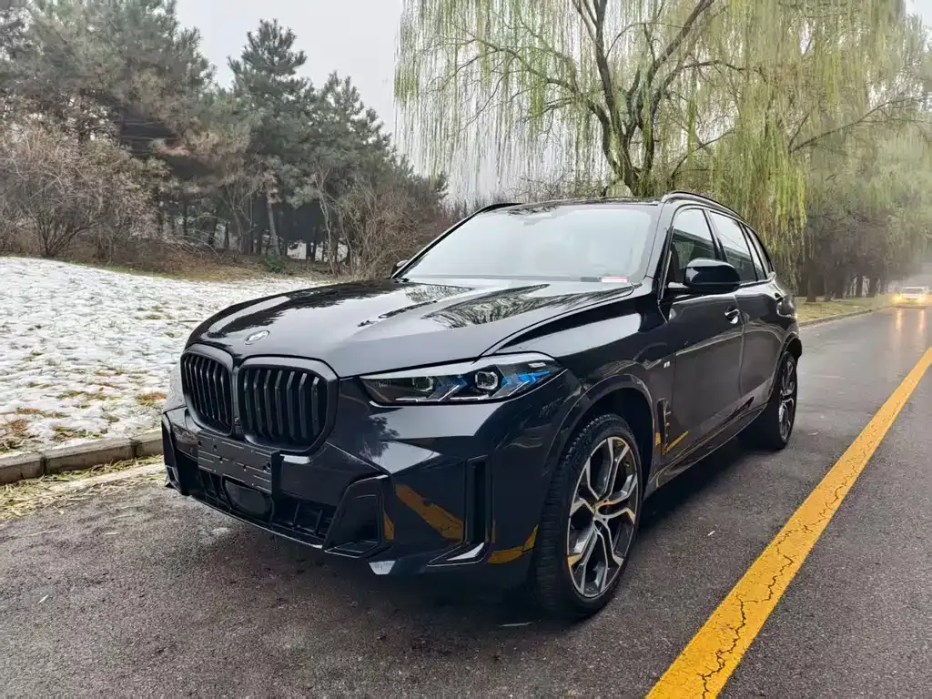BMW X5 2025 из CN, фото 5