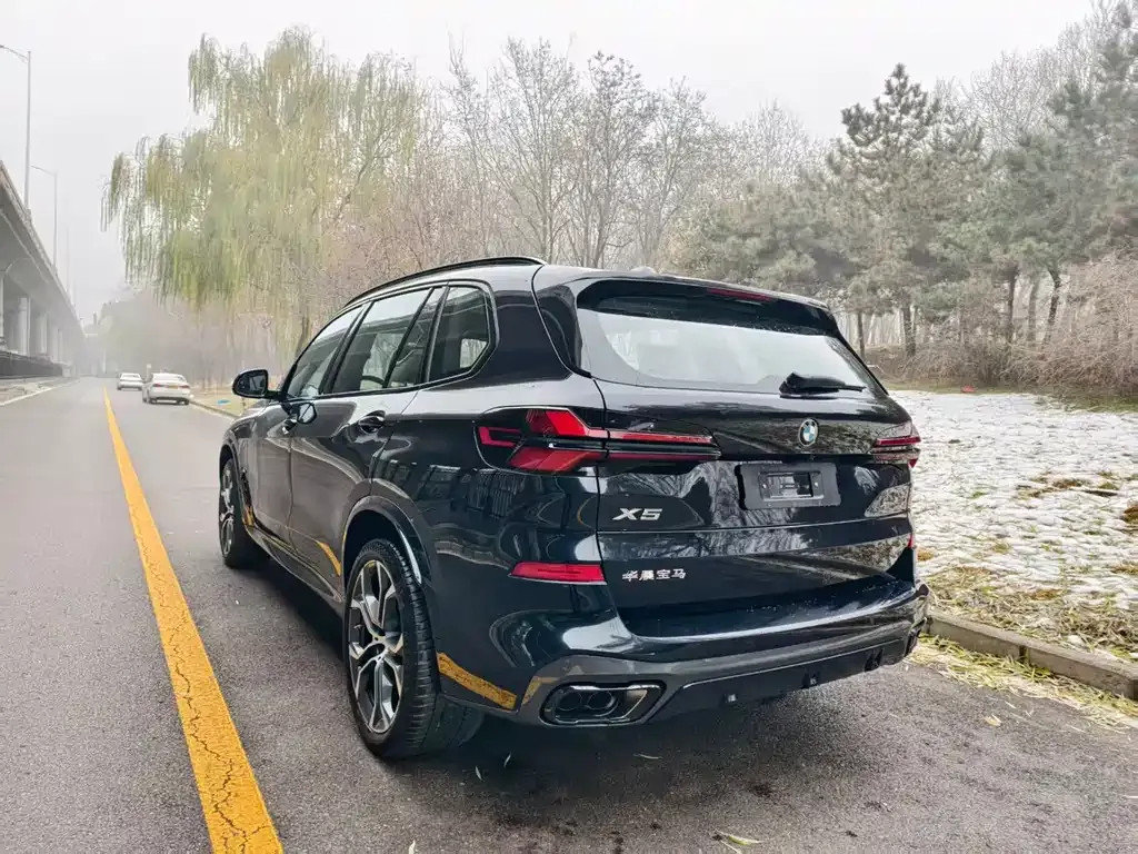 BMW X5 2025 из CN, фото 3