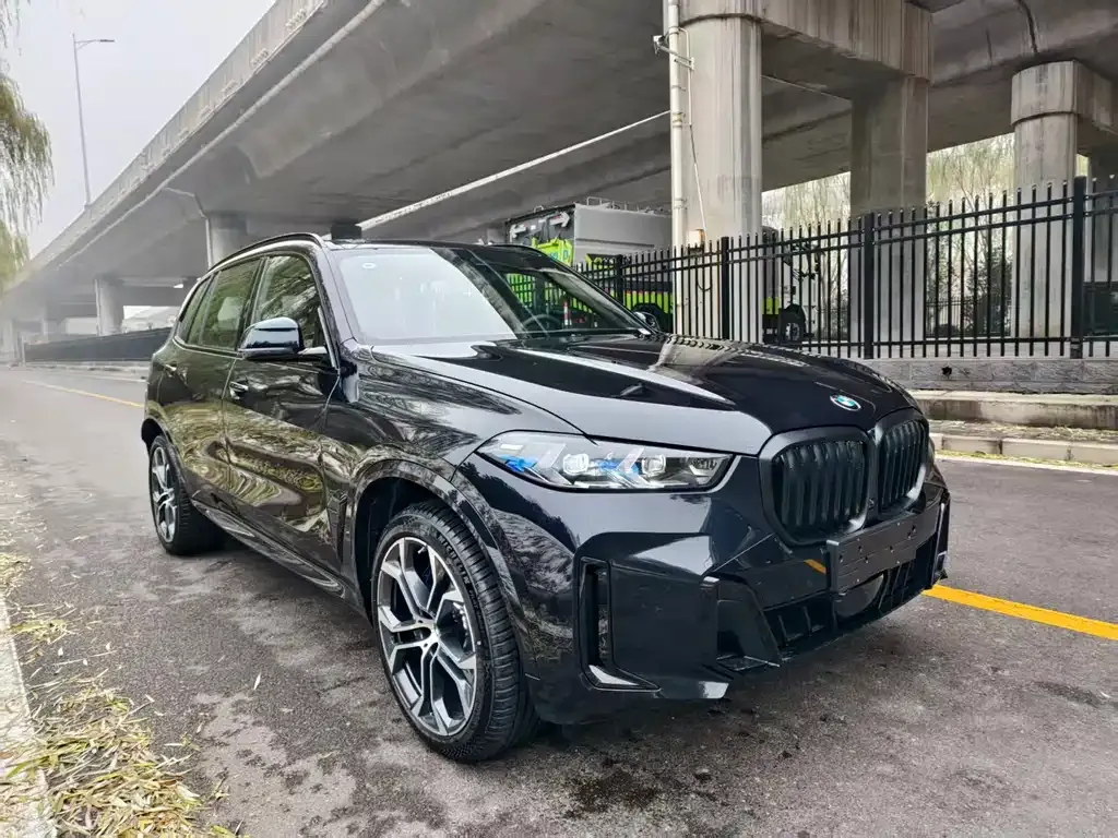 BMW X5 2025 из CN, фото 4
