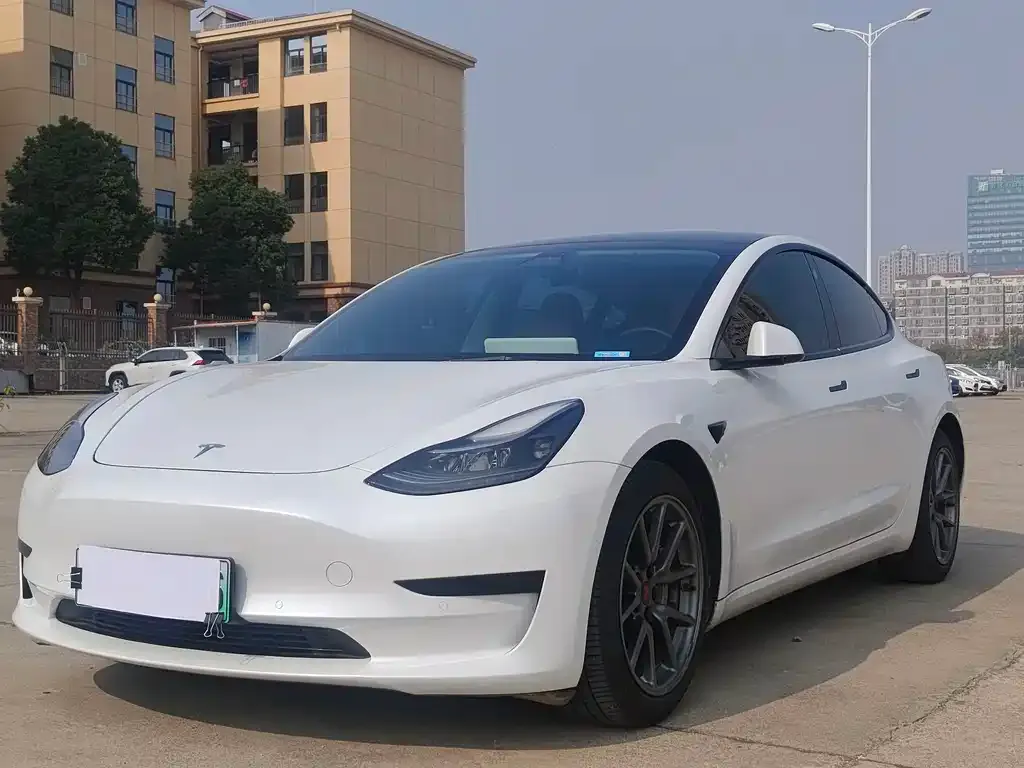 Tesla Model 3 2021 из CN, фото 1