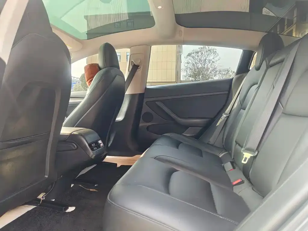 Tesla Model 3 2021 из CN, фото 5