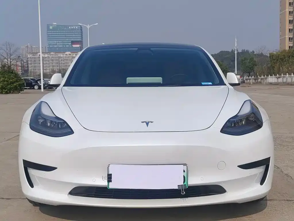 Tesla Model 3 2021 из CN, фото 2