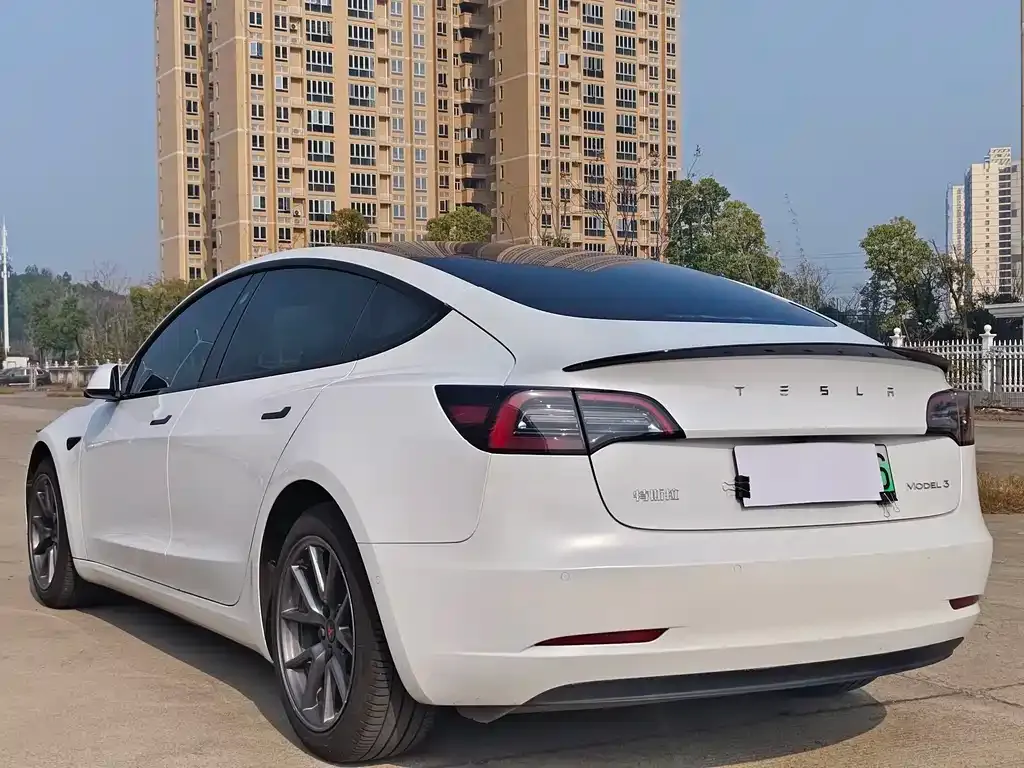 Tesla Model 3 2021 из CN, фото 7
