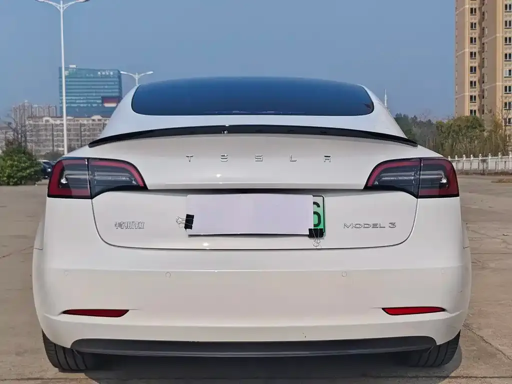 Tesla Model 3 2021 из CN, фото 3