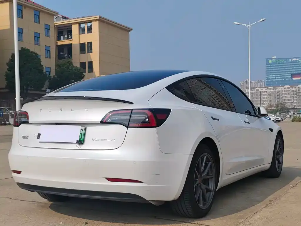 Tesla Model 3 2021 из CN, фото 4