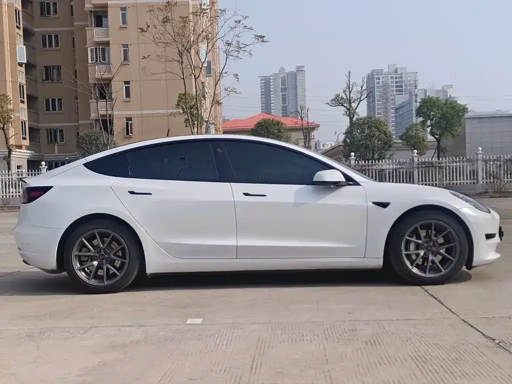 Tesla Model 3 2021 из CN, фото 6