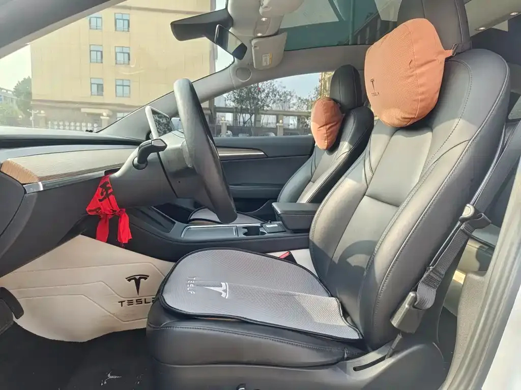 Tesla Model 3 2021 из CN, фото 10