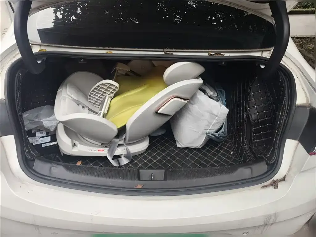 Buick Regal 2021 из CN, фото 9