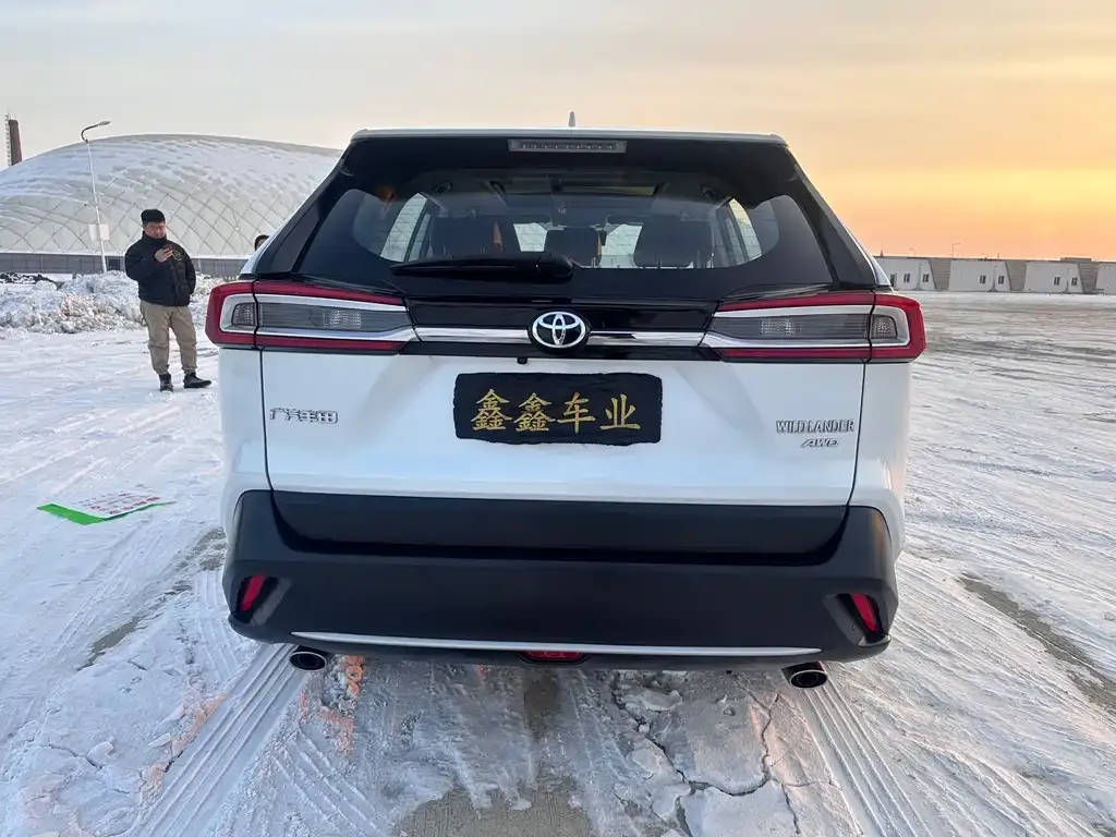 Toyota Wildlander 2023 из CN, фото 10
