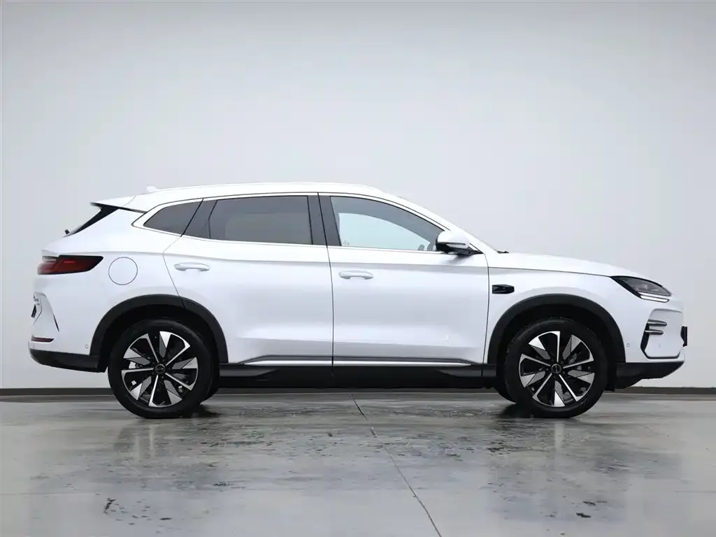 BYD PLUS New Energy 2025 из CN, фото 3